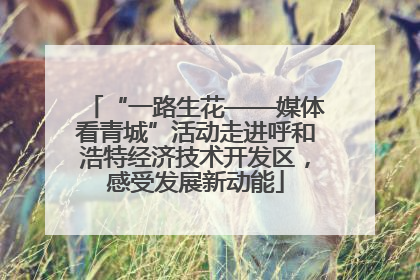 “一路生花——媒体看青城”活动走进呼和浩特经济技术开发区，感受发展新动能